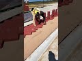 #pavers #construction #paverpol #concrete