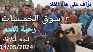 سوق الأغنام والأبقار والخيول الخميسات اليوم 14/05/2024