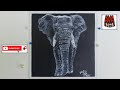 How to Paint an Elephant / Black Canvas Painting / Elephant Painting / Arts of Varuna Arya