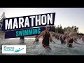 Marathon swimming through the open ocean tips tricks and advice  south32 rottnest channel swim