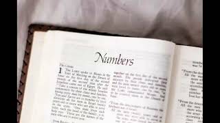 Numbers 7