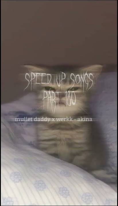 Mullet daddy x werkk - akina