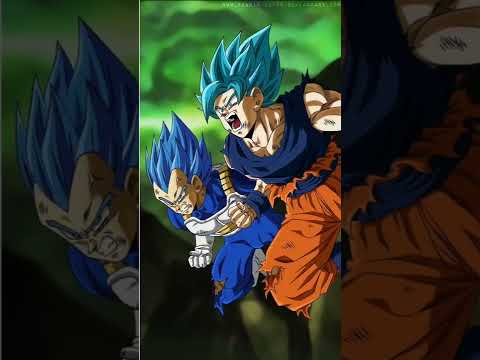 اروع و اجمل صور غوكو و فيجيتا