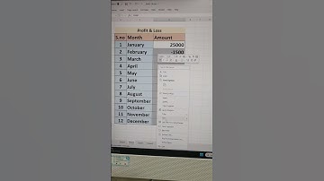 😯Highlights Negative Number in 30 seconds😳 #shorts #excel
