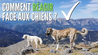 Mon expérience avec LES PATOUS sur le GR5 ! COMMENT réagir ?