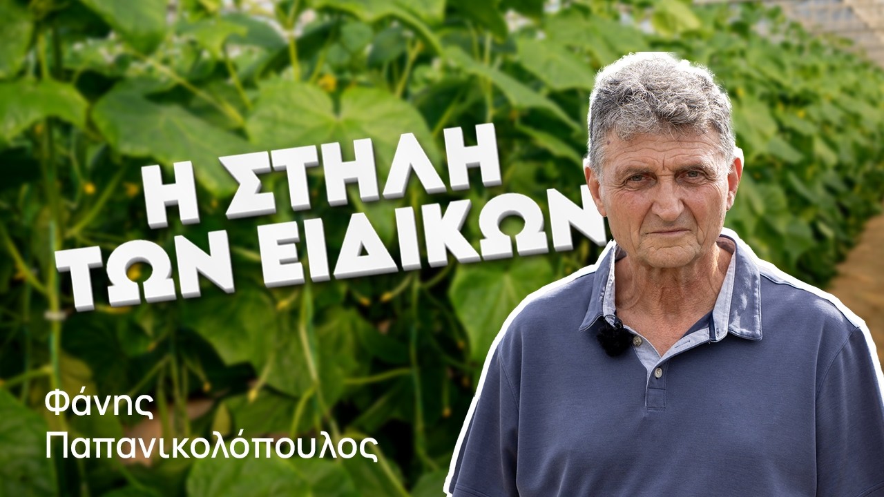 Η Στήλη των Ειδικών🌿