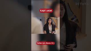 Kazara Aşk Kalpli Yatak Please Feel At East Mr. Ling Zhao Lusi, Liu Te, Zhou Junwei, Qi Peixin