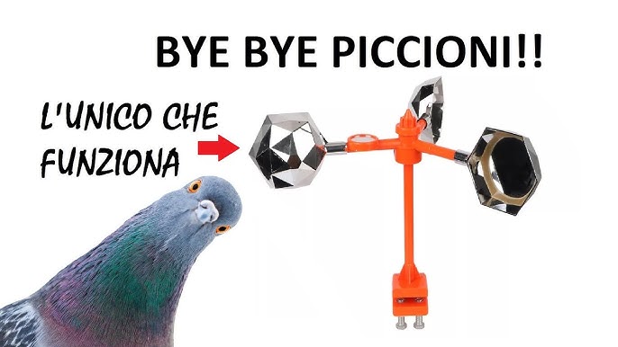 COME ABBIAMO RISOLTO IL PROBLEMA DEI PICCIONIFINALMENTE IL