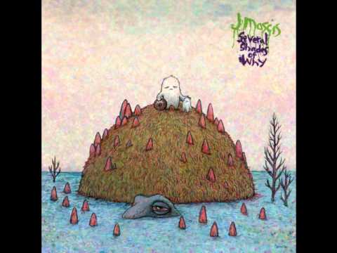 J Mascis - Several Shades of Why