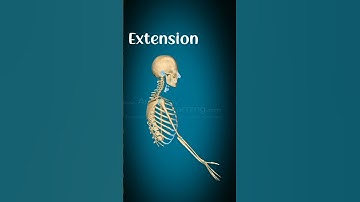 Flexion and extension of shoulder joint#physiorehab#drsamia