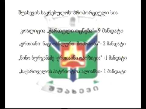 როგორ გადანაწილდა მანდატები აჭარაში