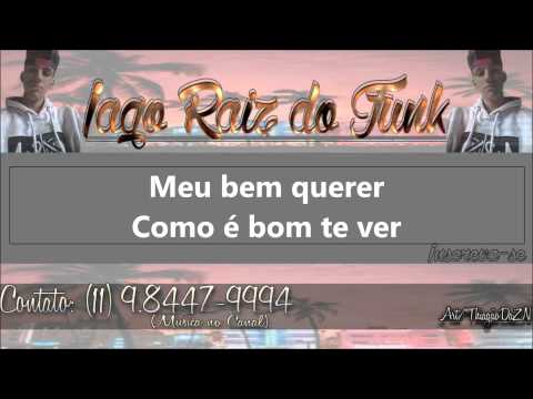 Mc Livinho Bem Querer - Com a Letra ( Perera DJ )