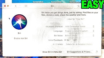 How To Disable Siri on Mac! [MacBook Pro/MacBook Air] [Turn Off Siri MacOS]