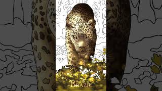 animal of Brazil #mewarnai #love #tiktok #jaguar