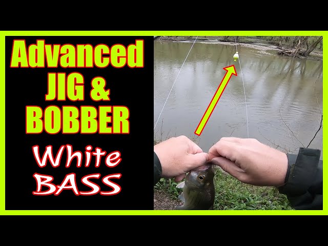 Advanced Jig and Bobber  White Bass Fishing 