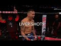 Liver Shots in MMA