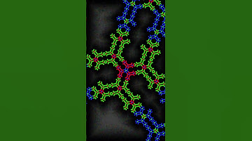 BGR BeamTree Infinite Zoom #fractal