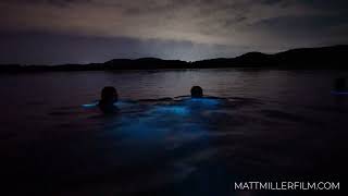 Parguera, Puerto Rico - Bioluminescent Bay