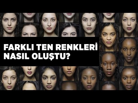 Video: Sokak tabelaları neden farklı renklerdedir?