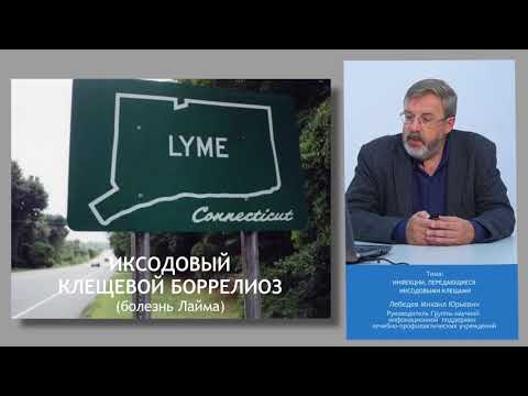 Лекция от экспертов CMD №1: Инфекции, передающиеся иксодовыми клещами