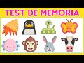 🔥 Juegos de Memoria Visual 🦁  Test de Memoria Visual | Mente Maestra 🦊Agilidad Mental