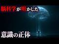 【ゆっくり解説】私たちは0.5秒前の過去を生きている…脳科学が明かした意識の正体とは