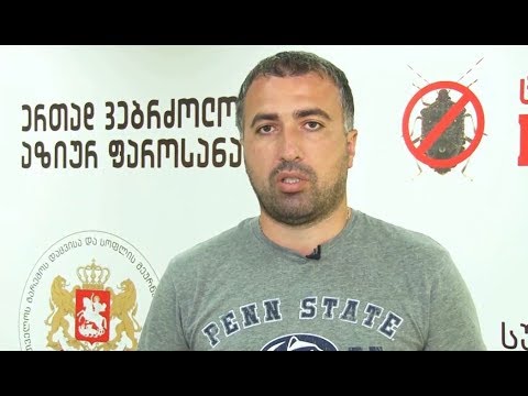 საკარმიდამო ნაკვეთებში ფერომონების დამონტაჟება იწყება