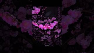 Dil Ke Paas (part2) Slowed Reverb+8daudio #slowed #song #love #shorts #viral #viralshorts #short