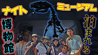 Download Lagu 夜の博物館でナイトミュージアム!?泊まれる博物館がすごい!!himawari-CH MP3 Download Lagu 夜の博物館でナイトミュージアム!?泊まれる博物館がすごい!!himawari-CH MP3