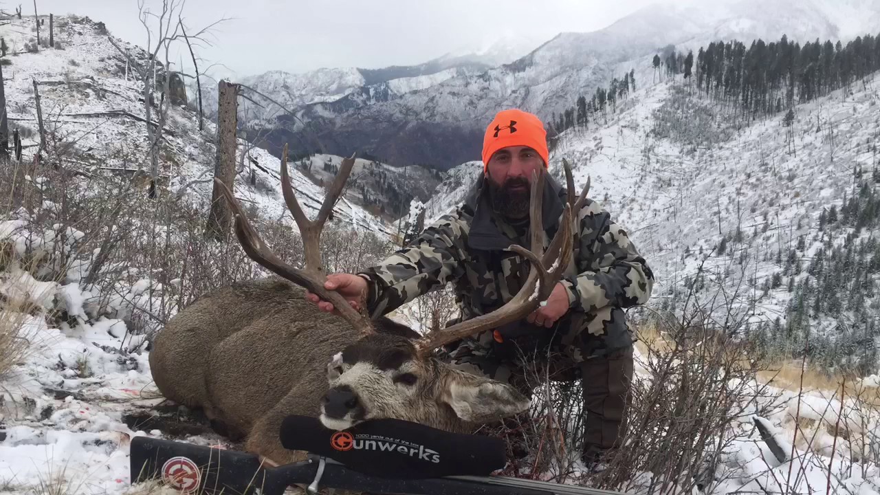 Mule deer hunting idaho