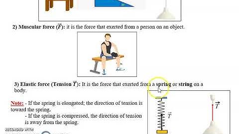 G9 Physics Mechanical Actions part 3