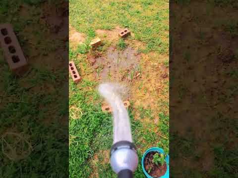 يا صباح الخير الكتيير البصل بدأ يطلع نزرع زرع