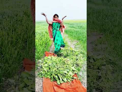 Song Bhojpuri Dance Newsong Music New Shetty Bahuta Satari Raja Maga Kama In A While