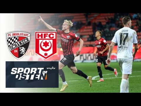 Ingolstadt Hallescher Goals And Highlights