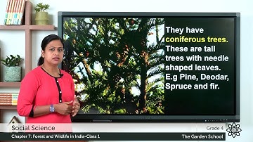 Grade 4 Social Science Chapter 7 Class 1 Forest