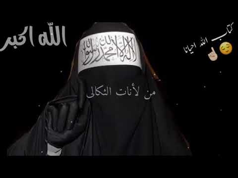 حالات وتس اب جهادية كبروا الله أكبر لا تهابو الحاقدين اجمل نشيد اسلامي حالات جهادية