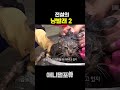 전설의 냥빨래 2탄 🧺