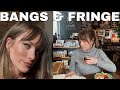 everything I wish I knew before getting BANGS | FRINGE | how to style