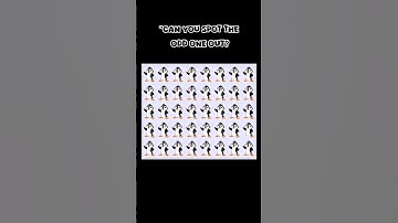 Can You Spot the Odd Penguin Out? 🐧🕵️‍♂️ | #shortsfeed #oddoneout #oddpuzzle #quizshorts #quiztime