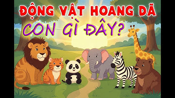 14 Động vật hoang dã bé cần biết! 🦁🐘 Học tiếng kêu và nhận biết cực dễ
