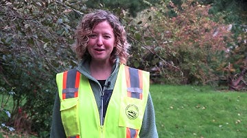 Stormwater - Conveyance System