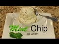 Healthy Mint Chocolate Chip Ice Cream With All Natural Ingredients | Rockin Robin