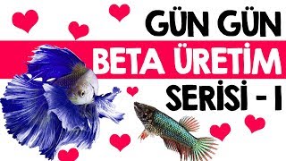 Beta Üretimi - 1.Bölüm - Gün Gün Beta Üretiyoruz...