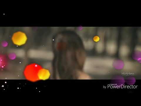 Rose Day Remix ....
