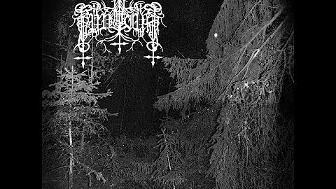 Muvitium - I Skogens Karga Dunkel