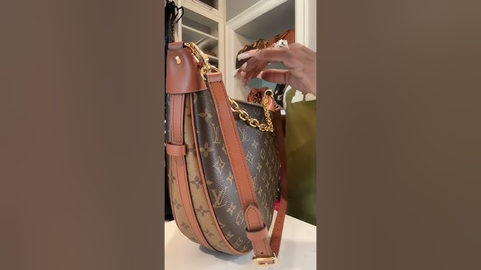 Louis Vuitton Loop Hobo Bag UNBOXING, NEW, What Fits?, First Look and  Review