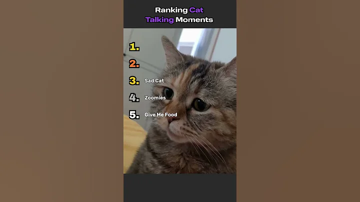 Video 11722471: cat talking, cat funnycats, funny cat