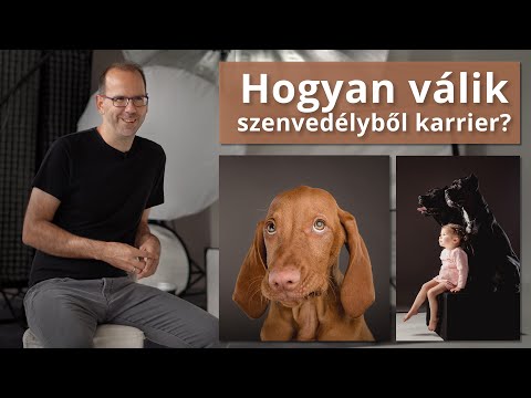 Videó: Hogyan rendelhetek szállítót egy szervezethez az SAP-ban?