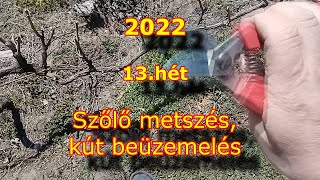 Kert Kalauz - 13.hét (2022)