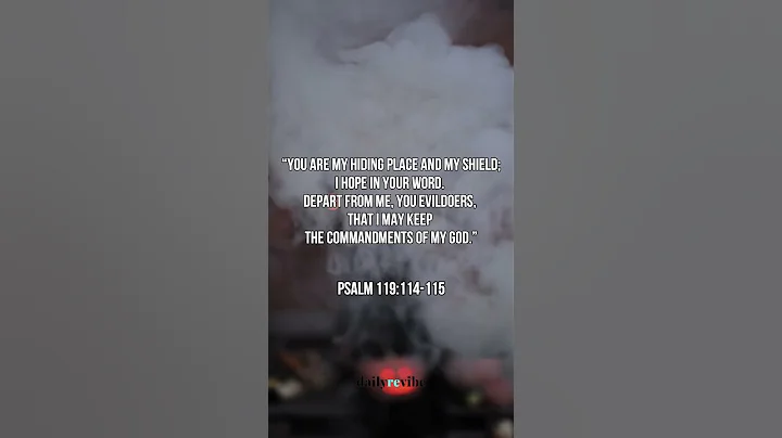 Psalm 119:114-115 // dailyrevibe #shorts